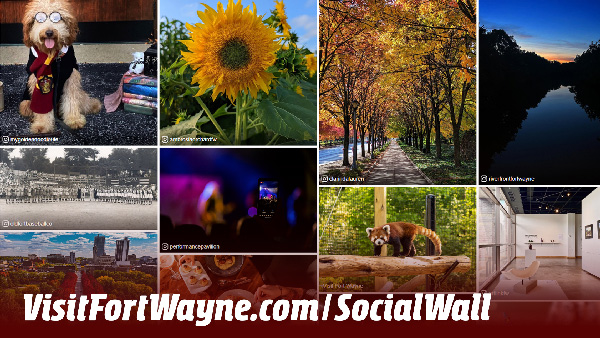 Social Wall Collage