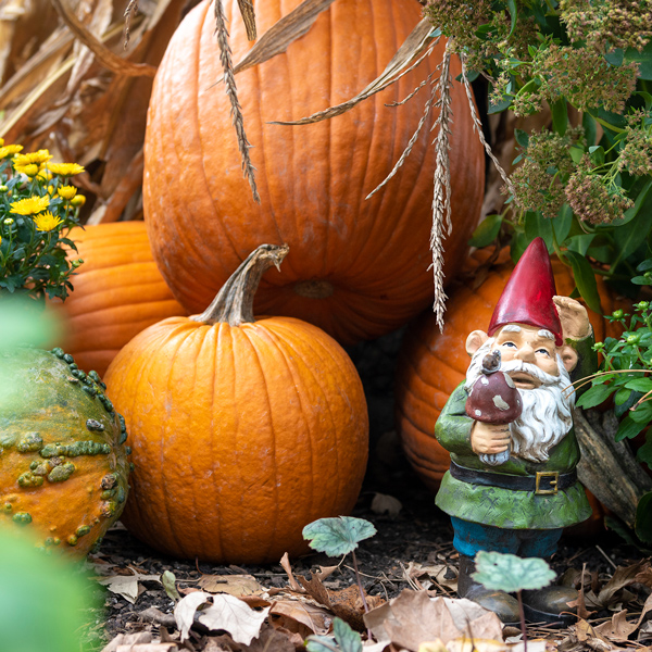 Pumpkin Path at the Botanical Conservatory. 