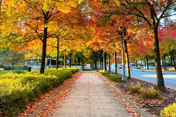 Fall getaways in Fort Wayne